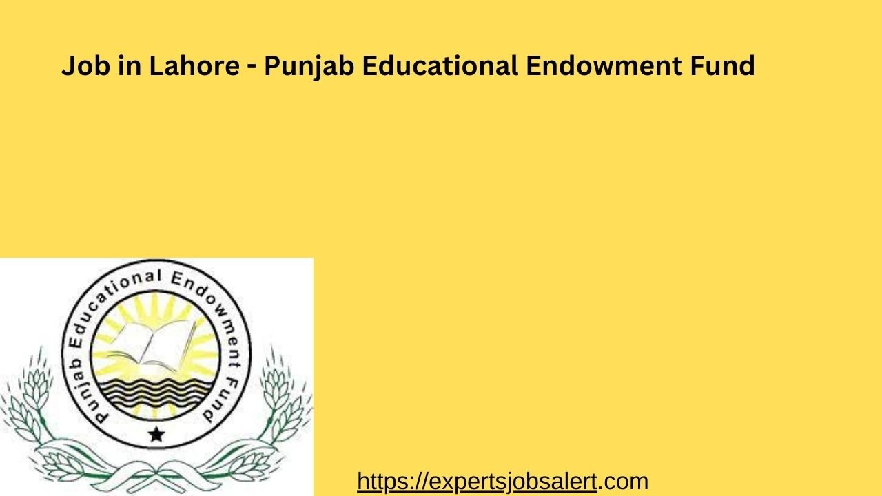 Job in Lahore - Punjab Educational Endowment Fund