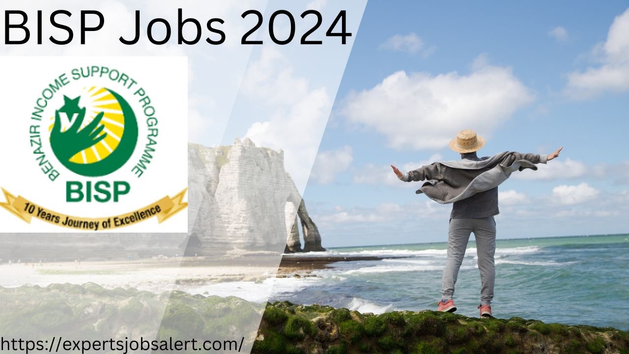 BISP Jobs 2024